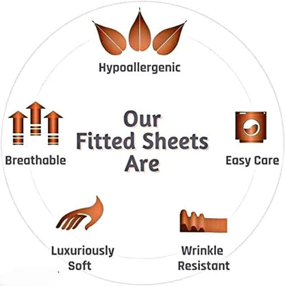 JAIPURI PRINT Premium Double Bedsheet With 2 Pillow Covers (72X78X Upto 10 Inches) & 360 Degree Elasticated